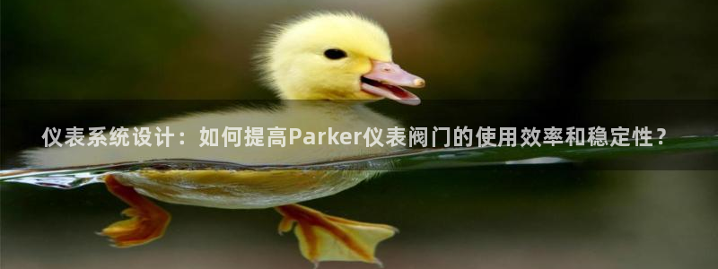 顺盈娱乐招商后原判官333OO