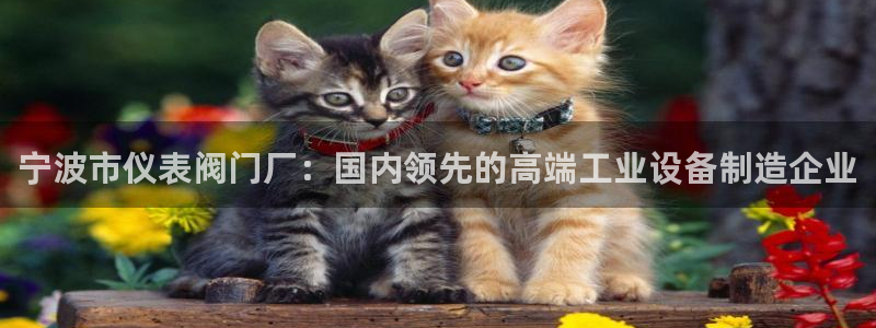 顺盈广场团购娱乐怎么样