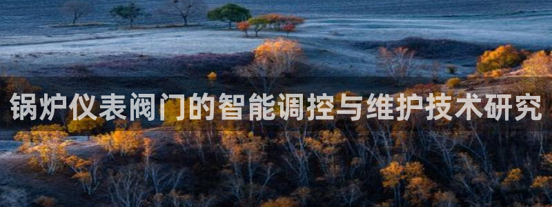顺盈娱乐28是什么