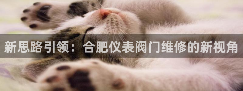 顺盈娱乐下载