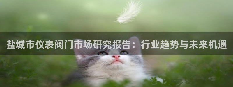 顺盈娱乐认究7276O