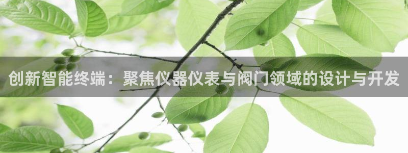 顺盈娱乐招商