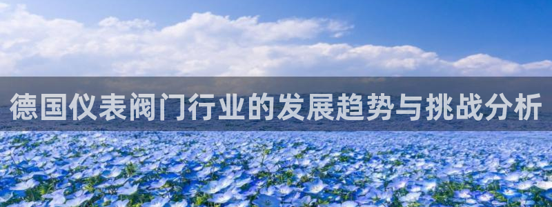 顺盈娱乐铜333OO