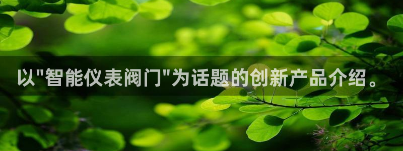顺盈娱乐平台注册时间