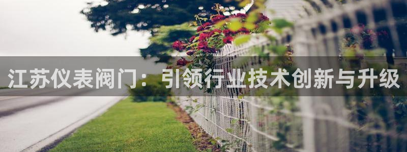 顺盈娱乐下载安装