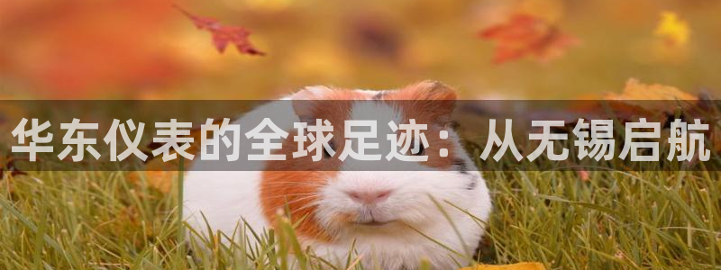 顺盈娱乐各究7276O