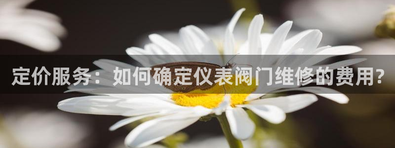 顺盈娱乐注册口究333OO
