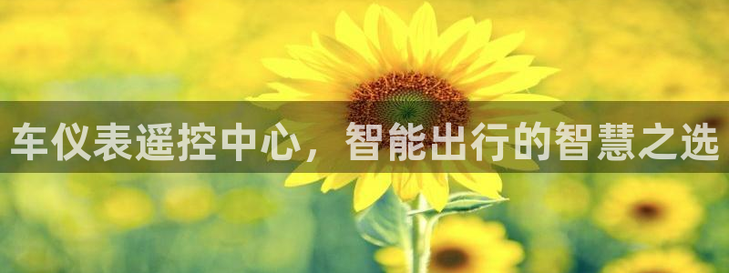 顺盈娱乐最高代理是谁呀