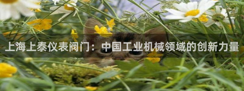 顺盈娱乐官网